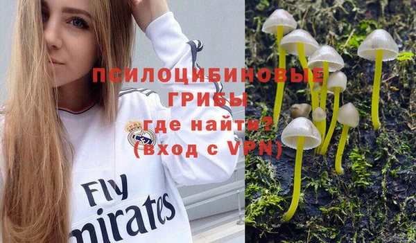 герыч Абаза