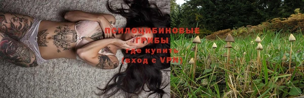 герыч Абаза