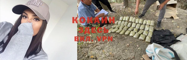 ГАЛЛЮЦИНОГЕННЫЕ ГРИБЫ Абдулино