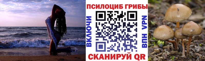Псилоцибиновые грибы мухоморы  цены наркотик  Таштагол 